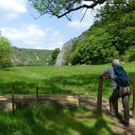 Au Bois Charmant Waulsort Bagian luar foto